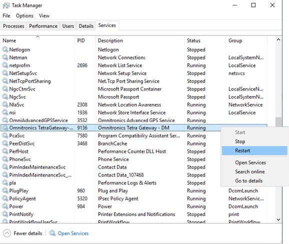 Template Field Details
